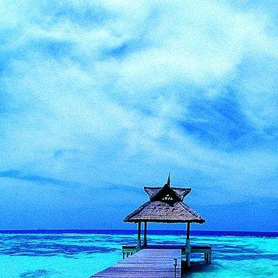 彩8官网入口·官方网站截图